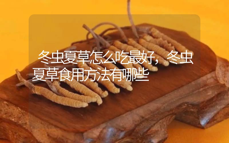 冬蟲(chóng)夏草怎么吃最好，冬蟲(chóng)夏草食用方法有哪些