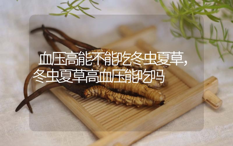 血壓高能不能吃冬蟲夏草，冬蟲夏草高血壓能吃嗎？
