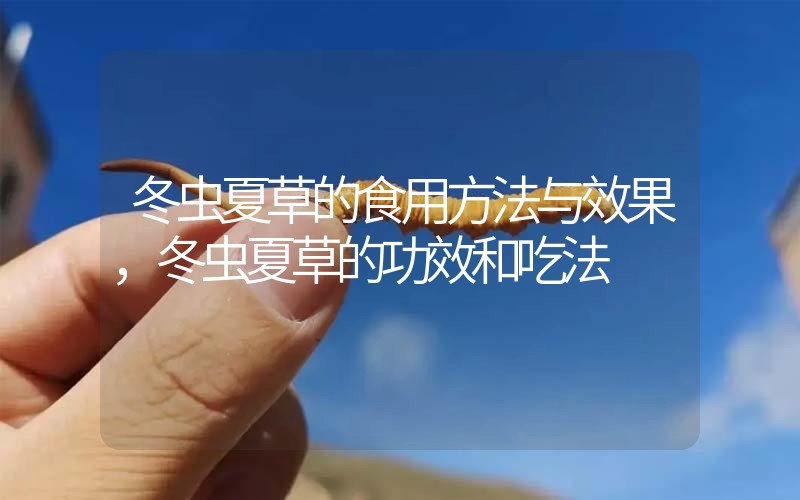冬蟲夏草的食用方法與效果，冬蟲夏草的食用方法！