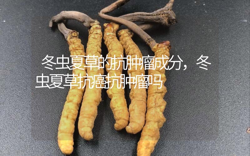 冬蟲夏草的抗腫瘤成分，冬蟲夏草抗癌抗腫瘤嗎？