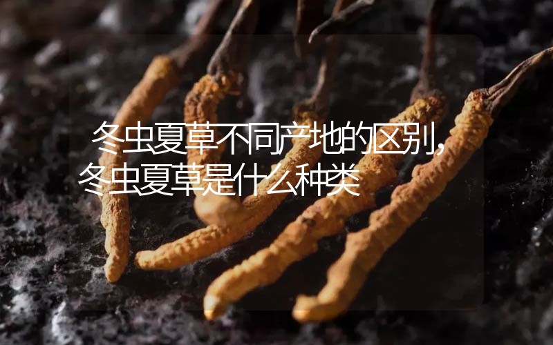 冬蟲(chóng)夏草不同產(chǎn)地的區(qū)別，冬蟲(chóng)夏草是什么種類(lèi)