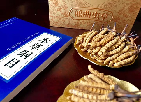 冬蟲夏草真就那么好嗎？它的主要功能是什么呀