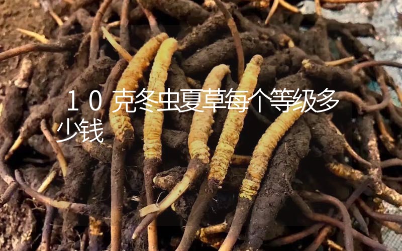 10克冬蟲(chóng)夏草每個(gè)等級(jí)多少錢(qián)？