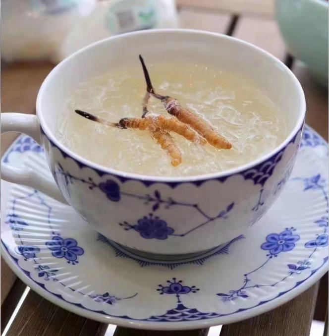 養(yǎng)生小竅門：冬蟲夏草燉什么好喝？