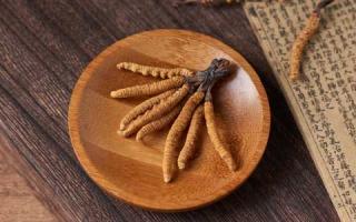 怎么分辨哪些冬蟲夏草是面粉做的？