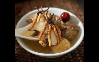 冬蟲(chóng)夏草的烹飪技巧與食用方法！