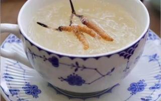 冬蟲夏草粉的食用方法與用量？