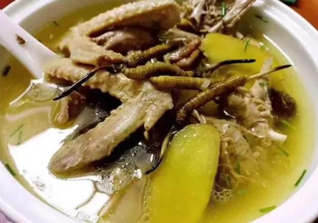 冬蟲夏草和哪些食材可以一起煲湯？