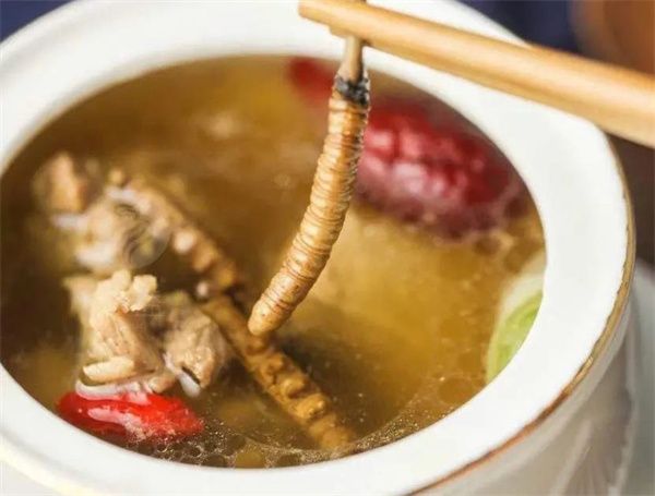 冬蟲夏草能吃嗎？冬蟲夏草可以怎么吃