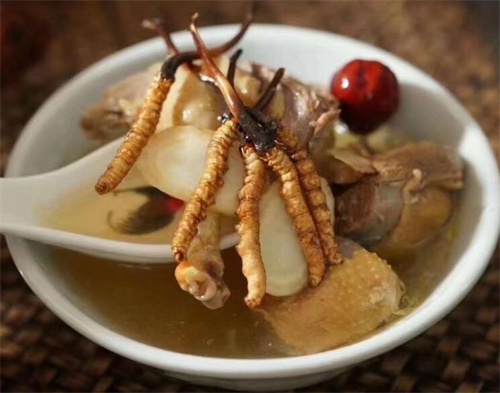 小孩子可以吃冬蟲夏草嗎？
