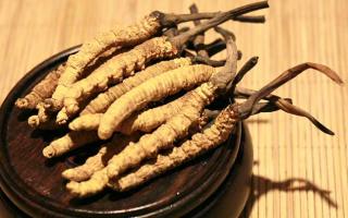 冬蟲夏草的價格一克：為何如此昂貴？