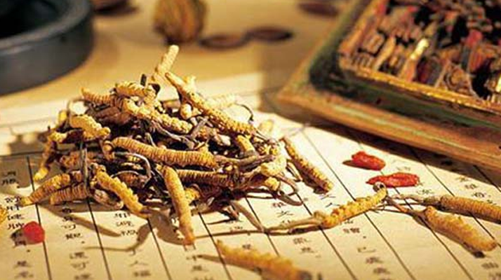 同仁堂健康冬蟲夏草：傳承品質(zhì)，饋贈健康