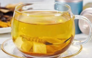 新鮮冬蟲(chóng)夏草能泡茶嗎？一文讀懂養(yǎng)生新方式