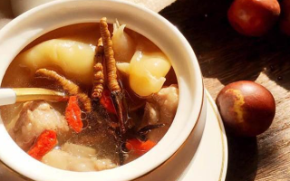 冬蟲夏草與什么泡水喝？養(yǎng)生搭配指南
