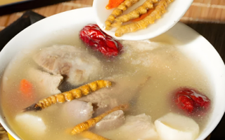 老人可以喝冬蟲夏草茶嗎？科學(xué)飲用的養(yǎng)生指南