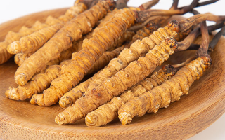 冬蟲夏草，真有那么大效果？