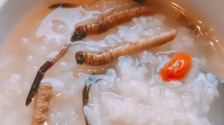 冬蟲夏草適合哪些人群？精準(zhǔn)匹配與禁忌提醒